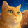 thematcat